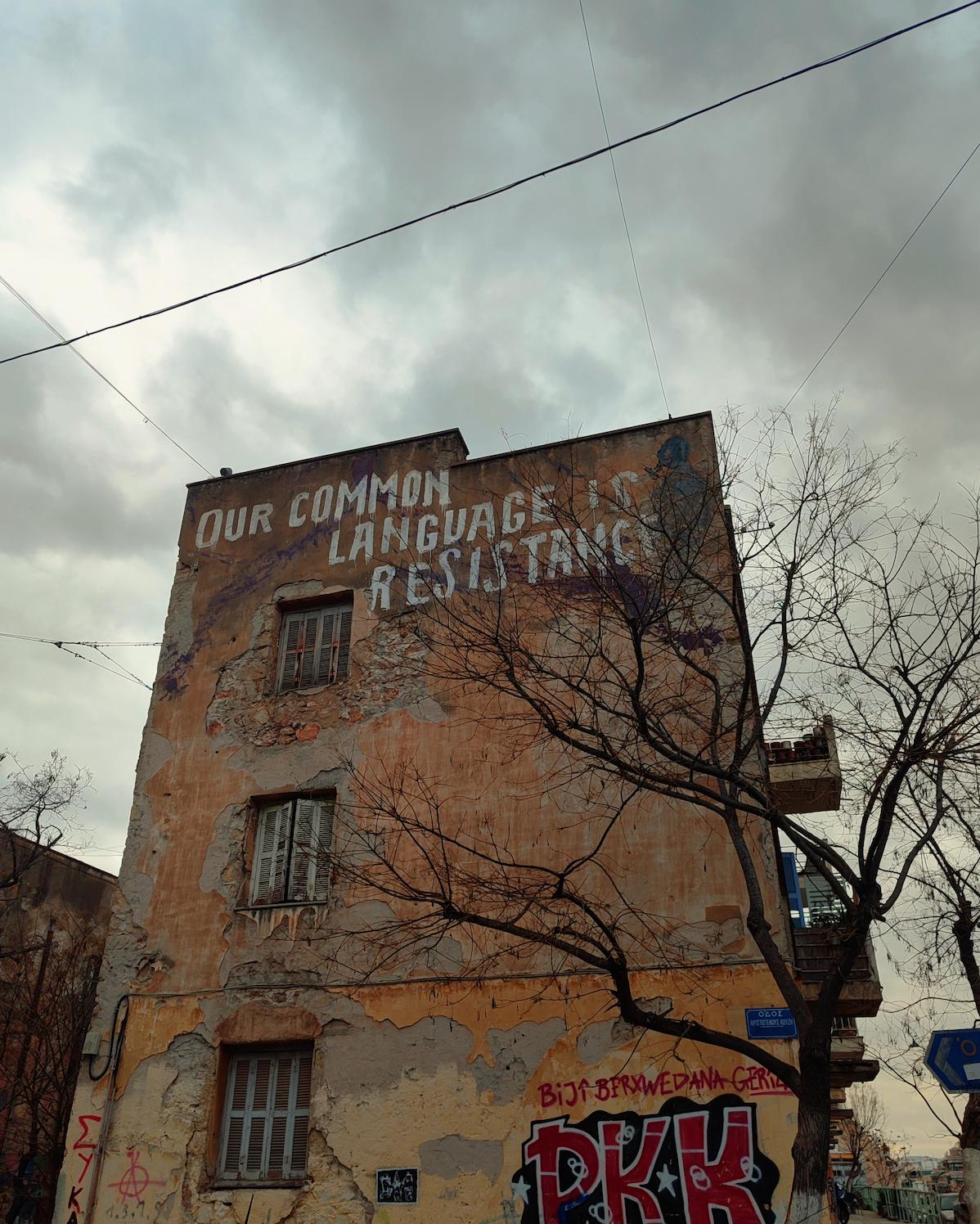 1775486493355 (1).jpg