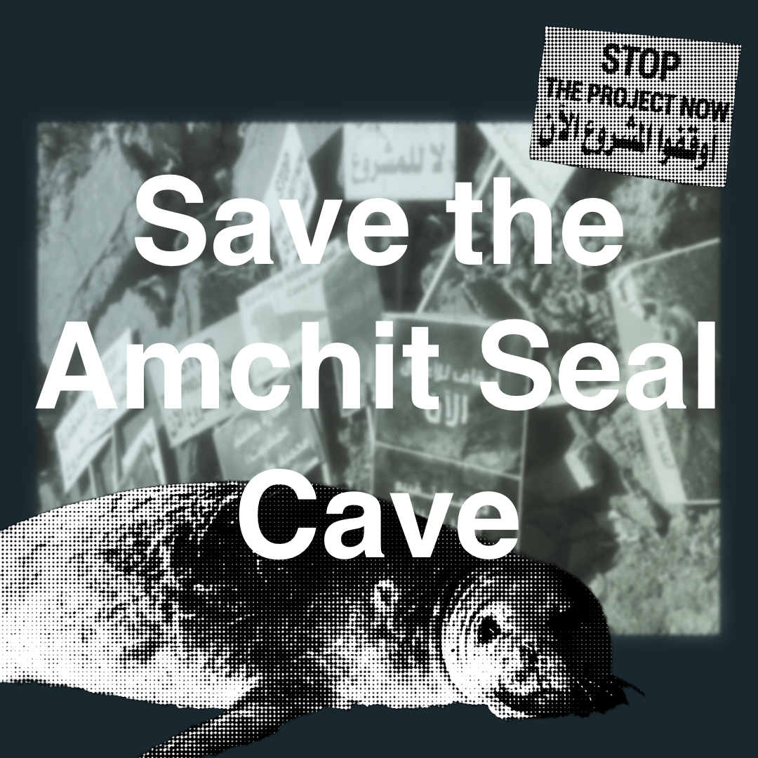Amchit Seal Cave.jpg