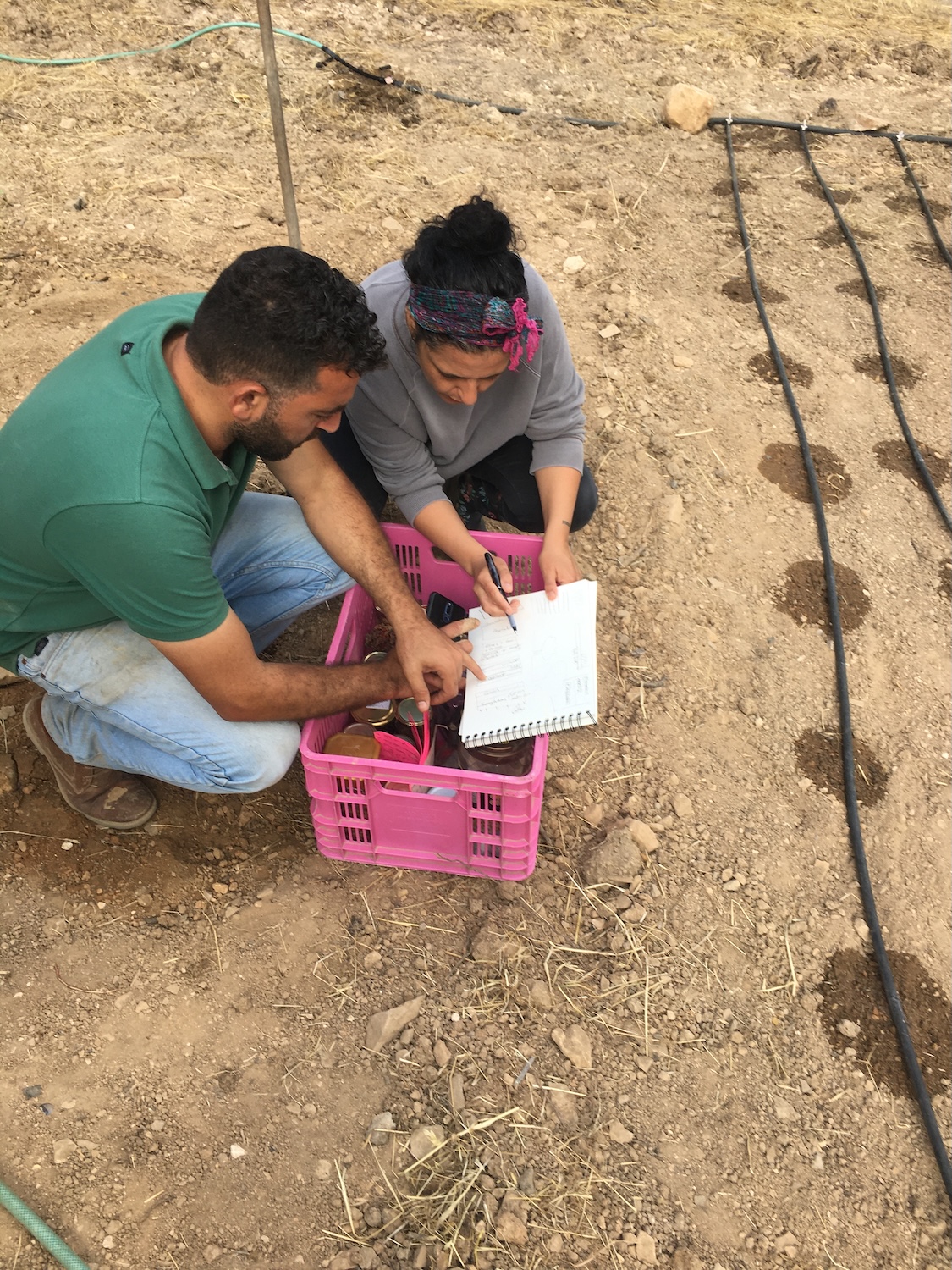 Crop Planning (1).JPG