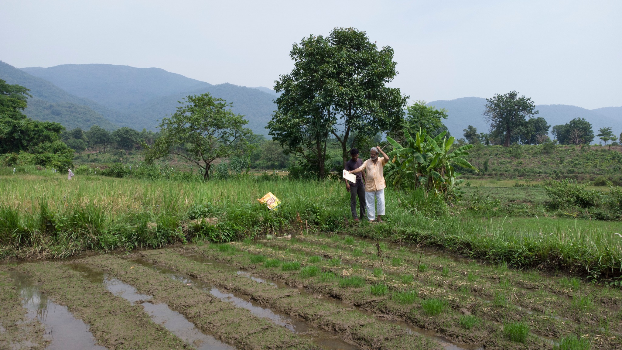 Deb looking over fields.jpg