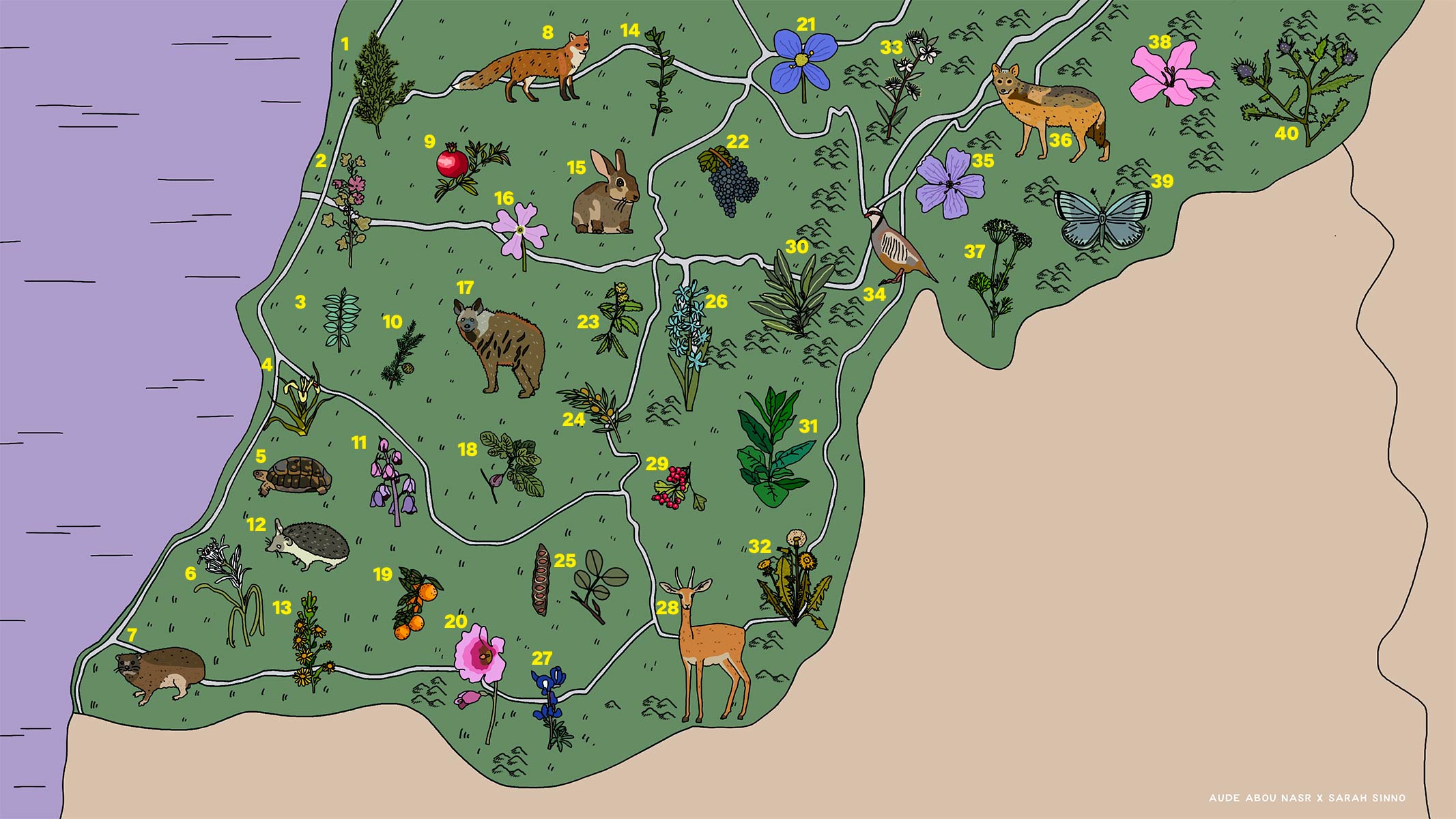 Map of species affected by environmental destruction in southern Lebanon