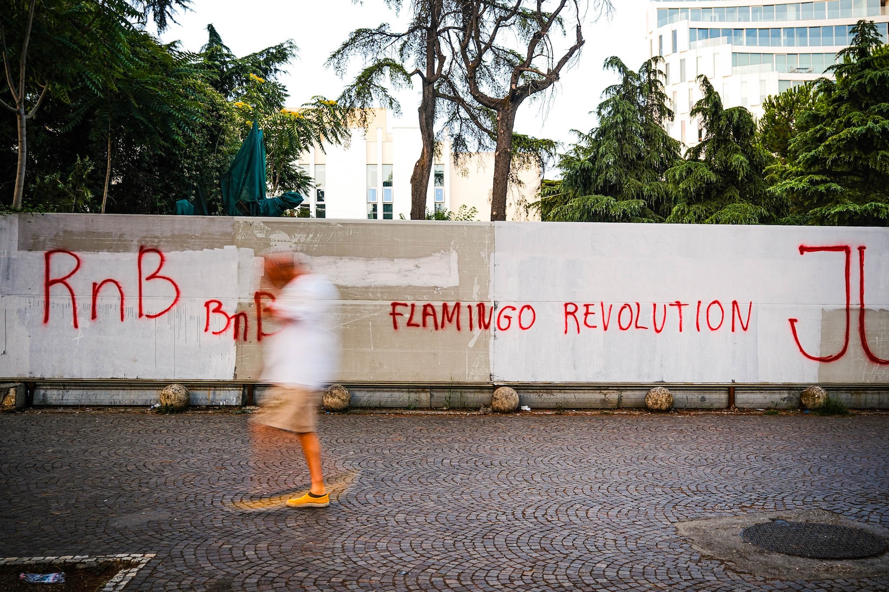 Flamingo_Rev_Graffiti.jpg