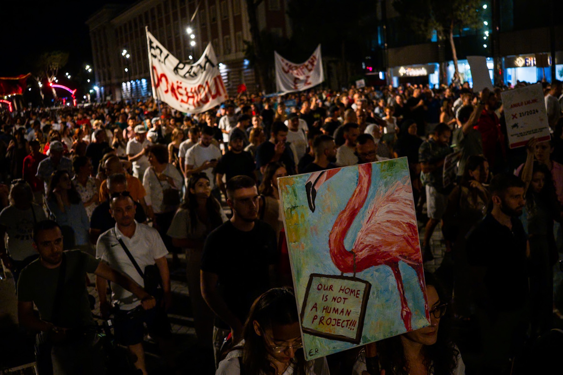 Flamingo_Revolution_Sign_2.jpg