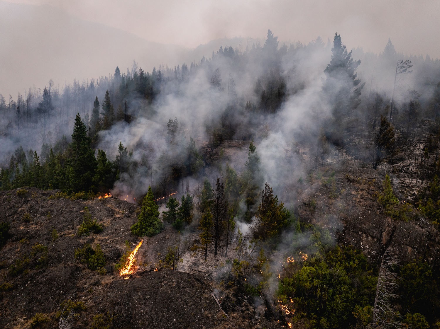 Image by Joel Reyero @naturalflash.jpg