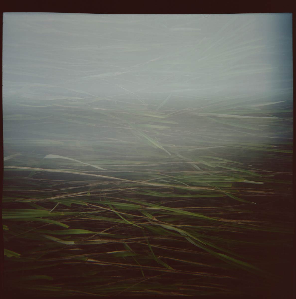 Orange Hill (Trinidad & Tobago)