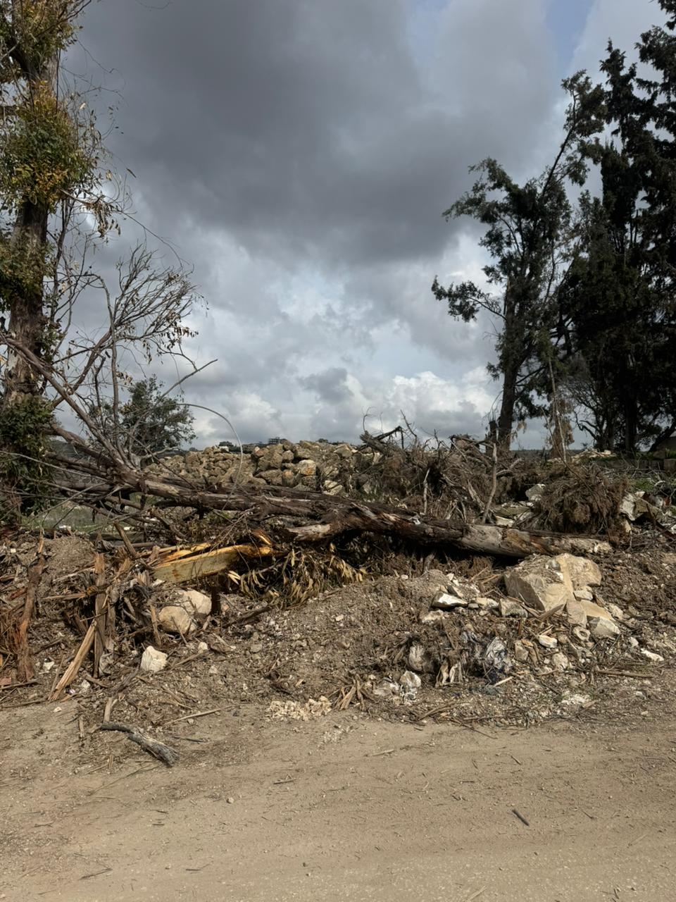 PHOTO-2026-02-25-13-34-24 2.jpg