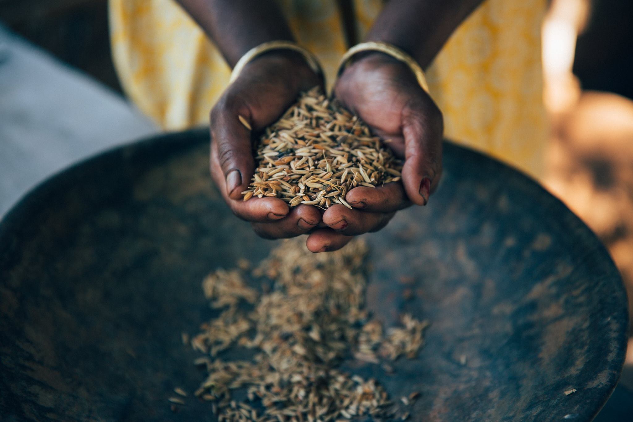 Rice Sifting.jpg