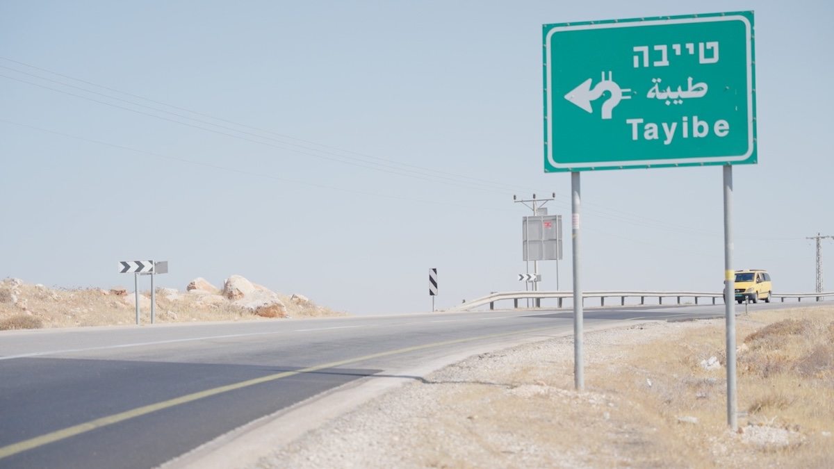 Taybeh, Ramallah (pictures courtesy of Brewgooder)(1)