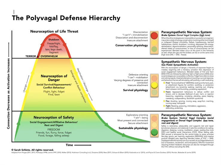 polyvagal.jpg