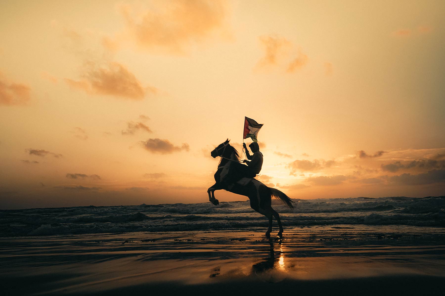 photo by Suhail Nassar