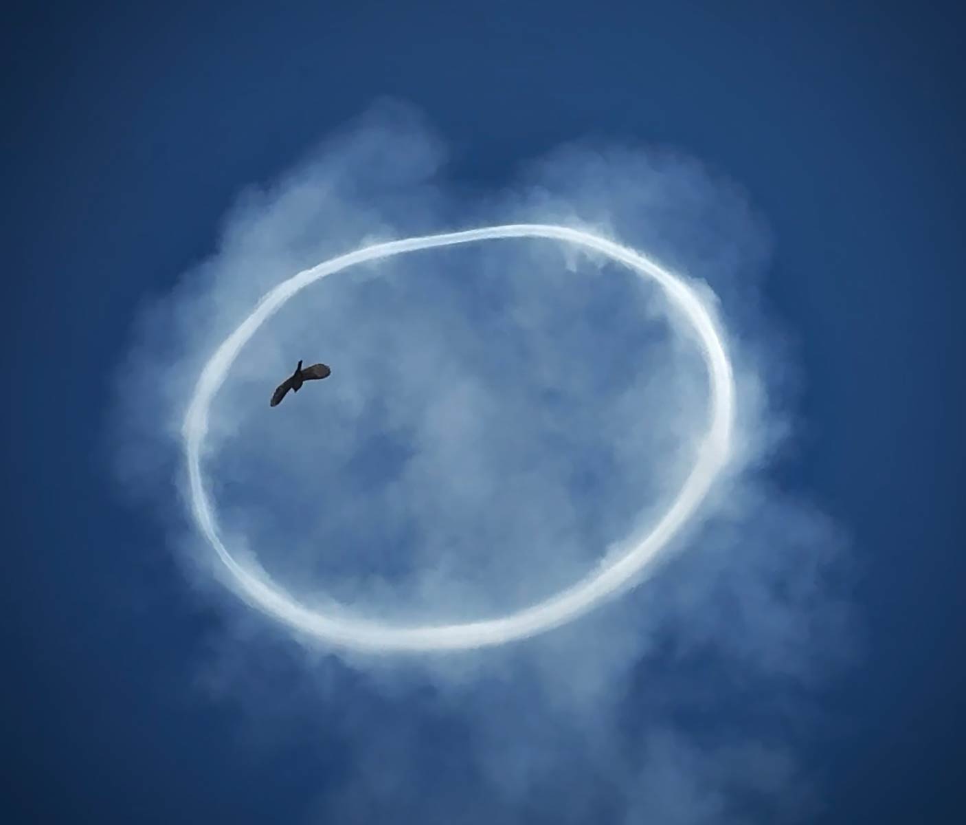 photo by Suhail Nassar