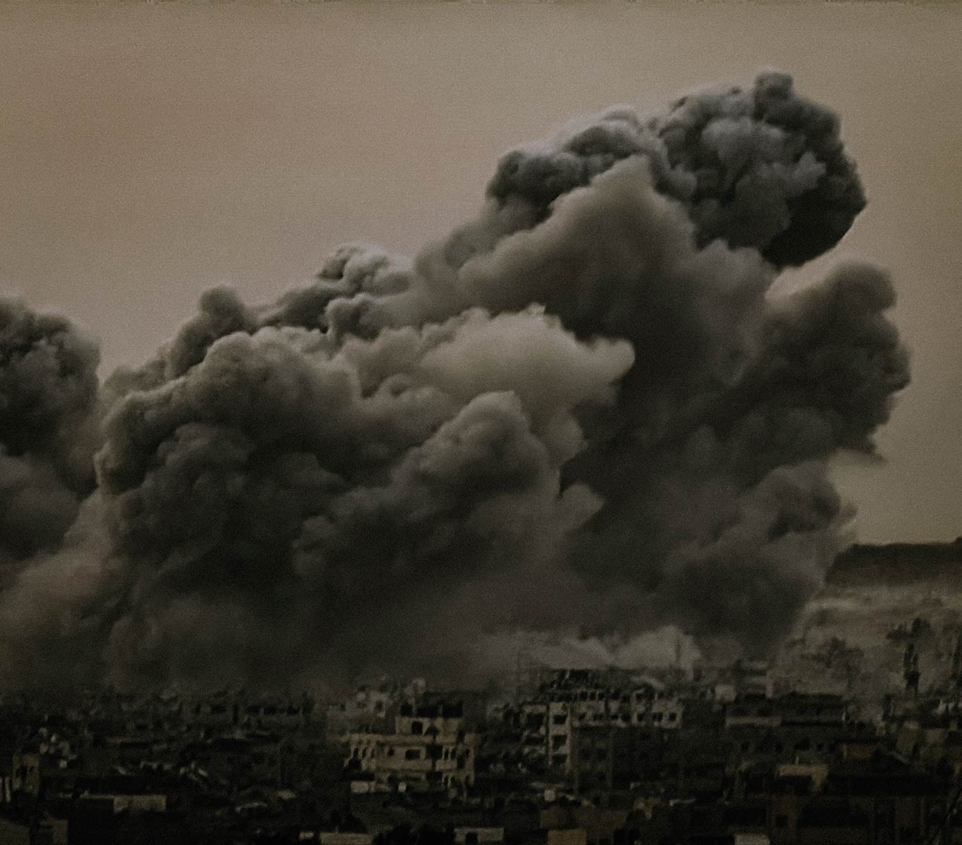 photo by Suhail Nassar