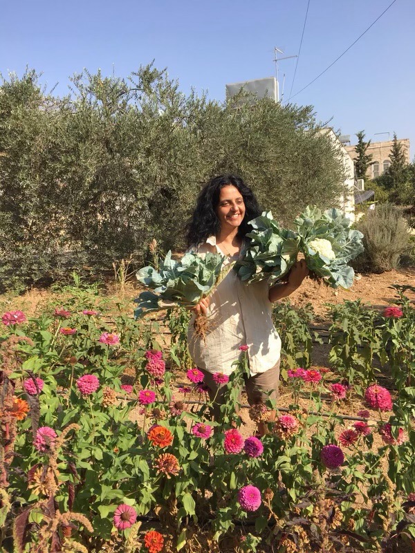viv w cabbage (1).jpg