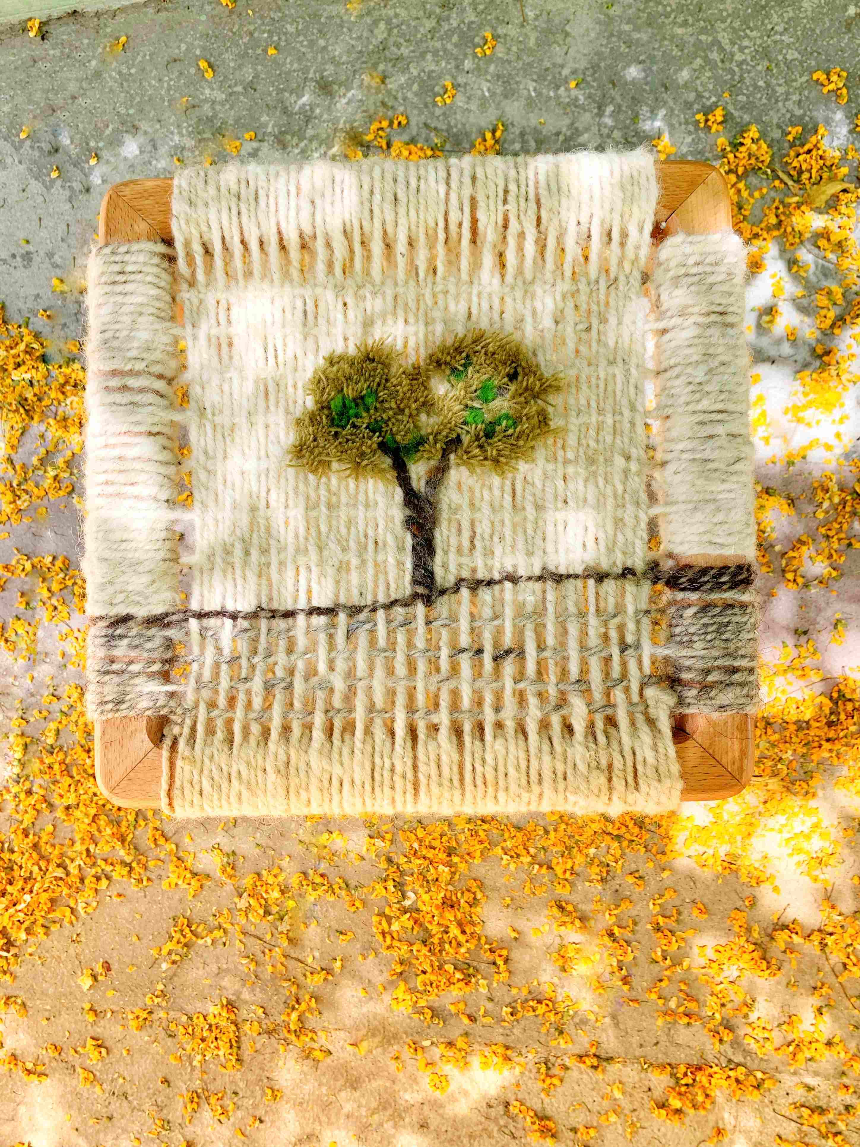 wool woman image 4.jpeg